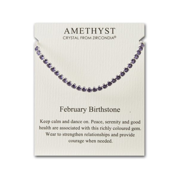 February Birthstone Friendship Bracelet with Amethyst Zircondia® Crystals