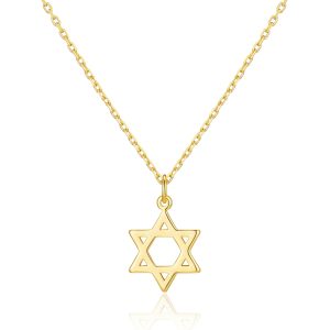 Gold Plated Star of David Necklace