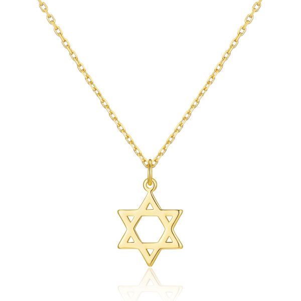 Gold Plated Star of David Necklace