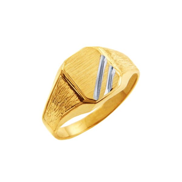 Men's Zeus Signet Ring in 9ct Gold