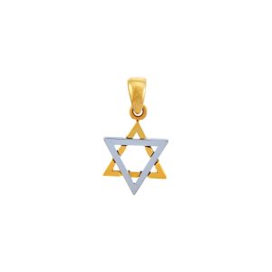 Men's Gleaming Star of David Pendant Necklace in 9ct Two-Tone Gold