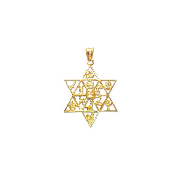 Star of David Twelve Tribes of Israel Pendant Necklace in 9ct Gold