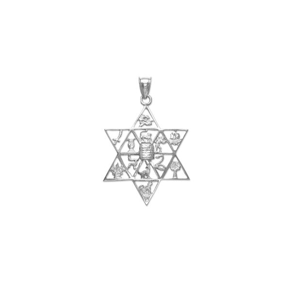 Men's Star of David Twelve Tribes of Israel Pendant Necklace in Sterling Silver