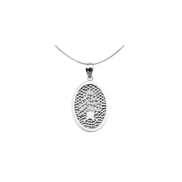 Men's Lebanese Cedar Tree Oval Pendant Necklace in Sterling Silver