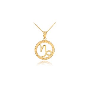 Capricorn Zodiac Circle Rope Pendant Necklace in 9ct Gold