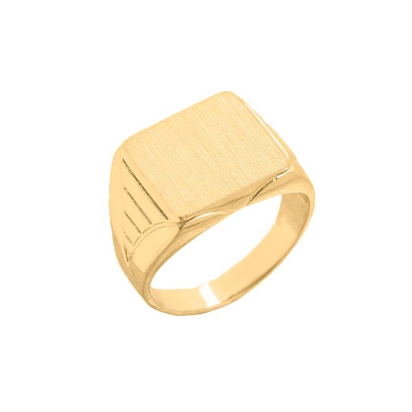 Men's Ring in 9ct Gold