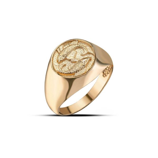 Pisces Zodiac Hammered Zodiac Ring in 9ct Gold