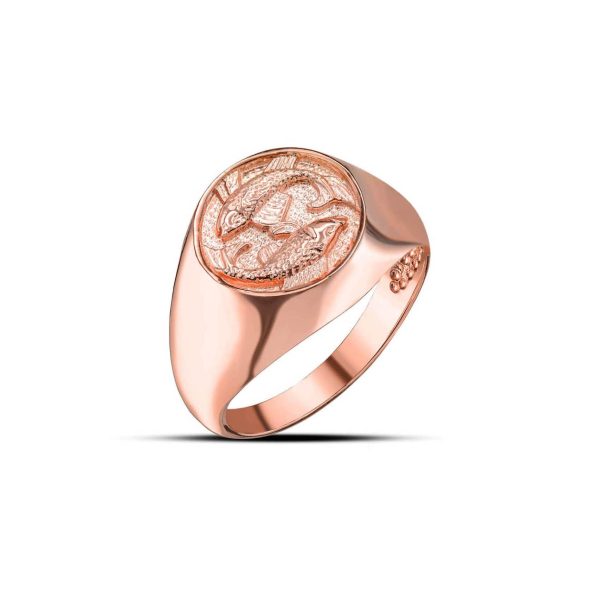 Pisces Zodiac Hammered Zodiac Ring in 9ct Rose Gold