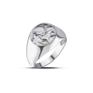 Capricorn Zodiac Hammered Zodiac Ring in Sterling Silver