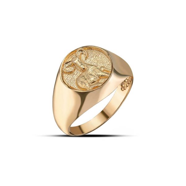 Aries Zodiac Hammered Zodiac Ring in 9ct Gold