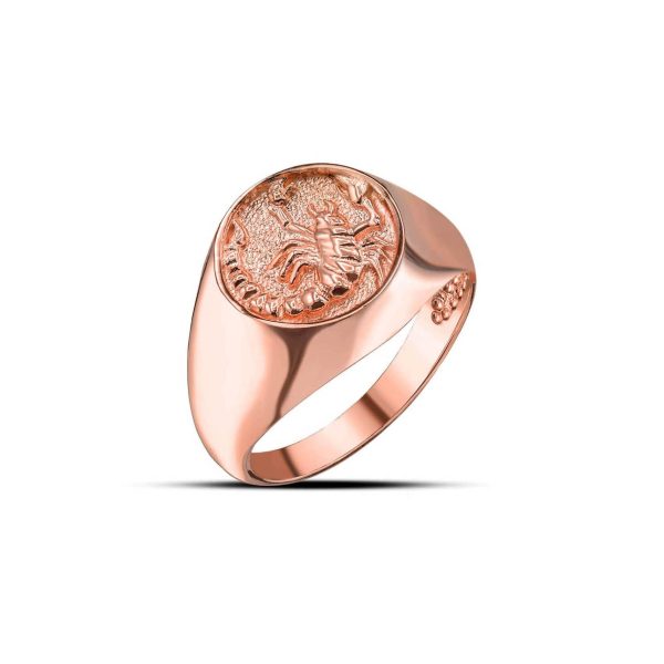 Scorpio Zodiac Hammered Zodiac Ring in 9ct Rose Gold