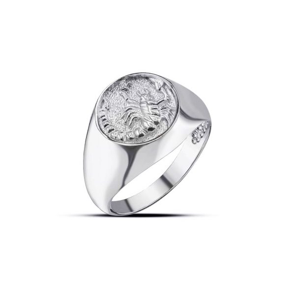 Scorpio Zodiac Hammered Zodiac Ring in Sterling Silver