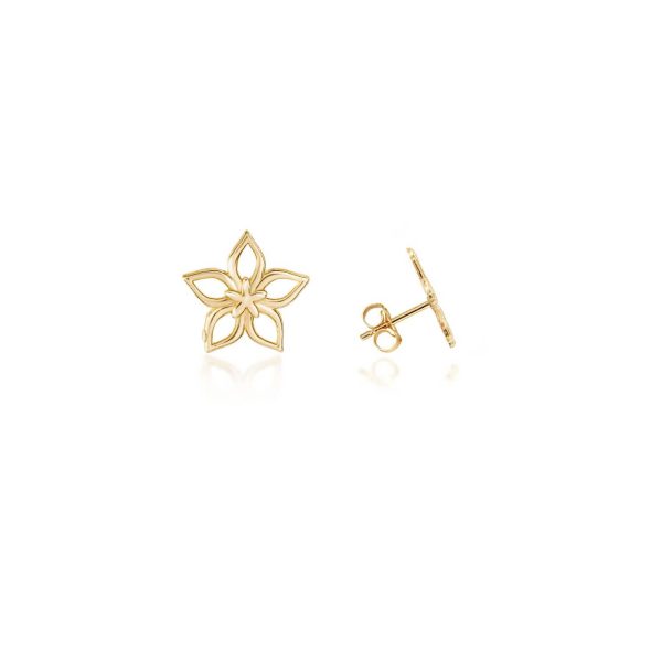 Star Flower Earrings in 9ct Gold